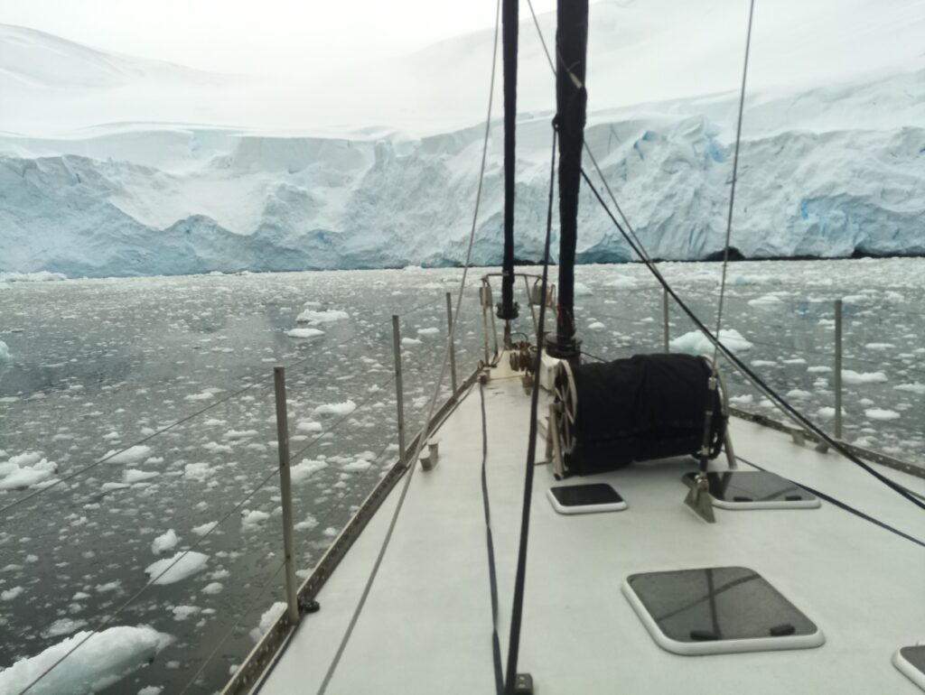 anchorae in the Gerlache strait